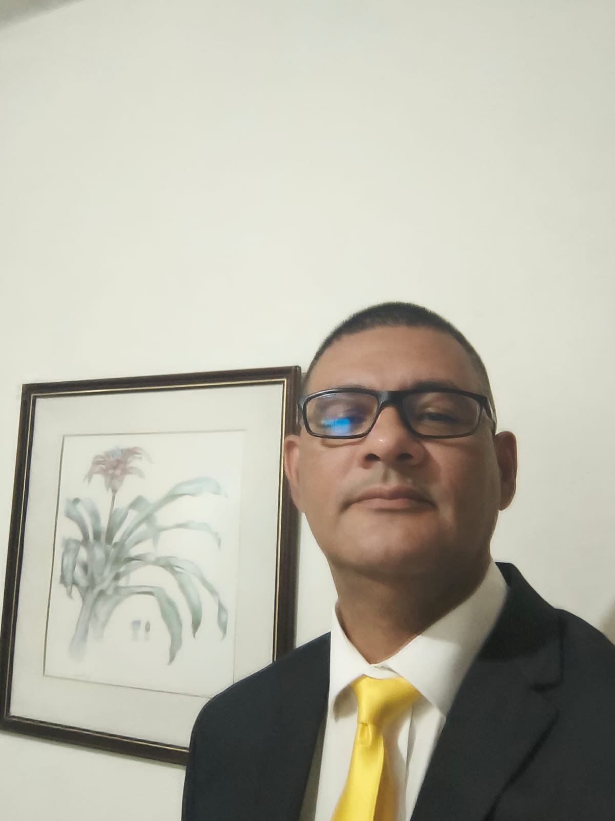 Advogado da equipe Brito Advogados