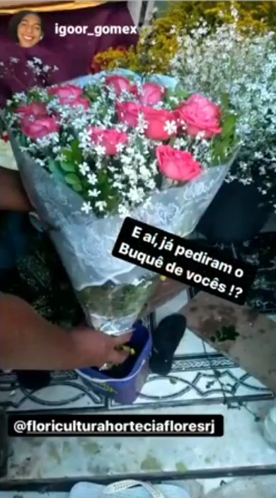Momento Hortênsia 1